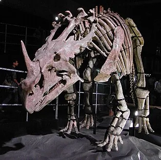 ซิโนเซอราทอปส์ (Sinoceratops)