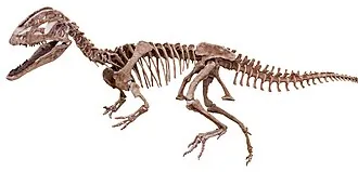 ไซโนซอรัส (Sinosaurus)