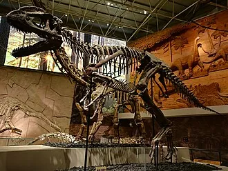 ซิโนไทรันนัส (Sinotyrannus)