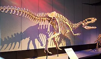 ไซน์แรปเตอร์ (Sinraptor)