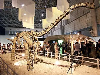 โซนิโดซอรัส (Sonidosaurus)