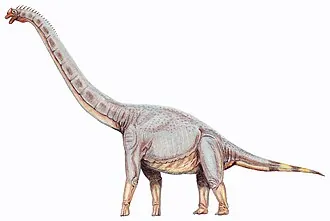 ซอโนราซอรัส (Sonorasaurus)