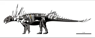 สไปโคเมลลุส (Spicomellus)