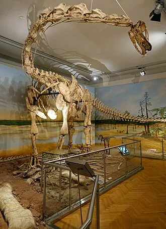 สไปโนโฟโรซอรัส (Spinophorosaurus)