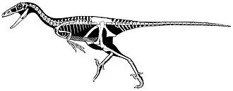 สเตโนไนโคซอรัส (Stenonychosaurus)