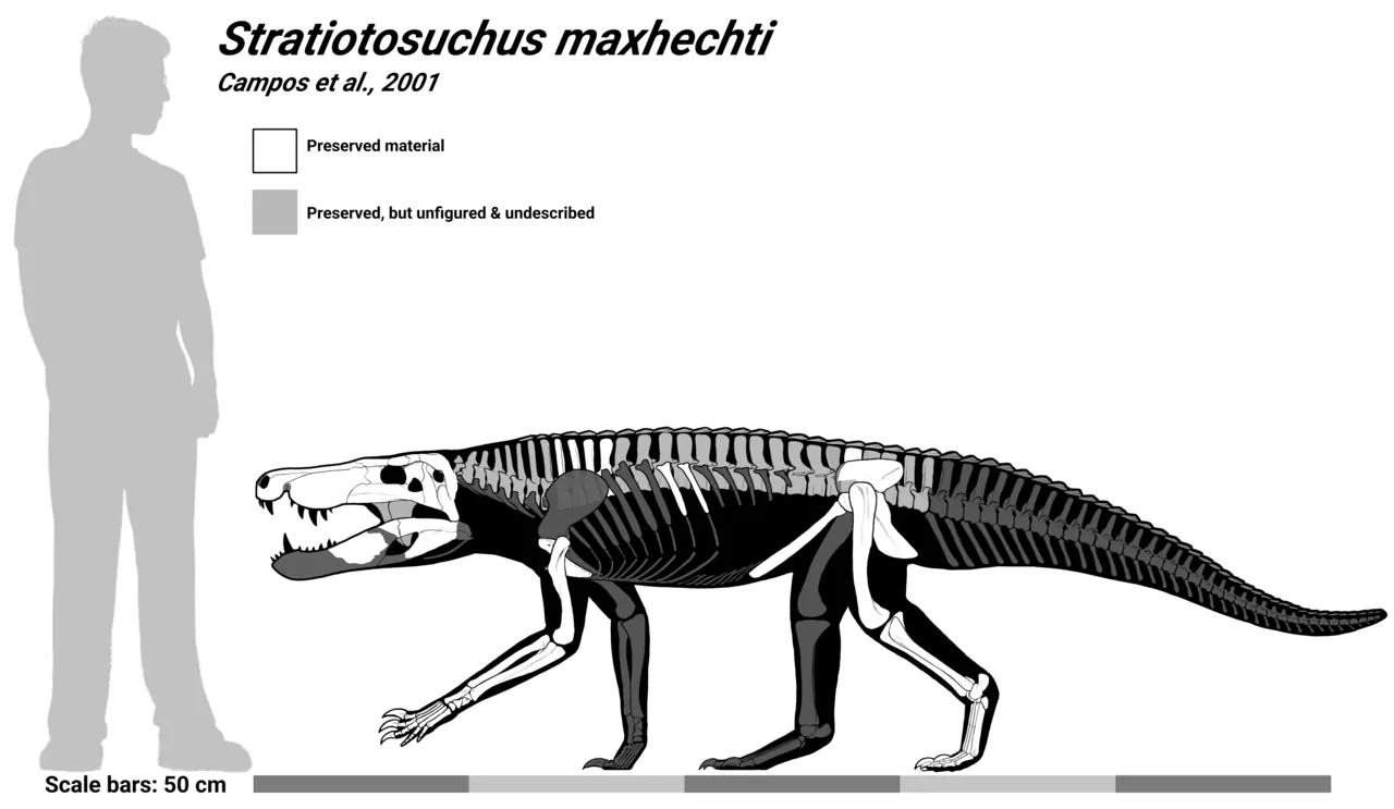 สตราติออโตซูคัส (Stratiotosuchus)