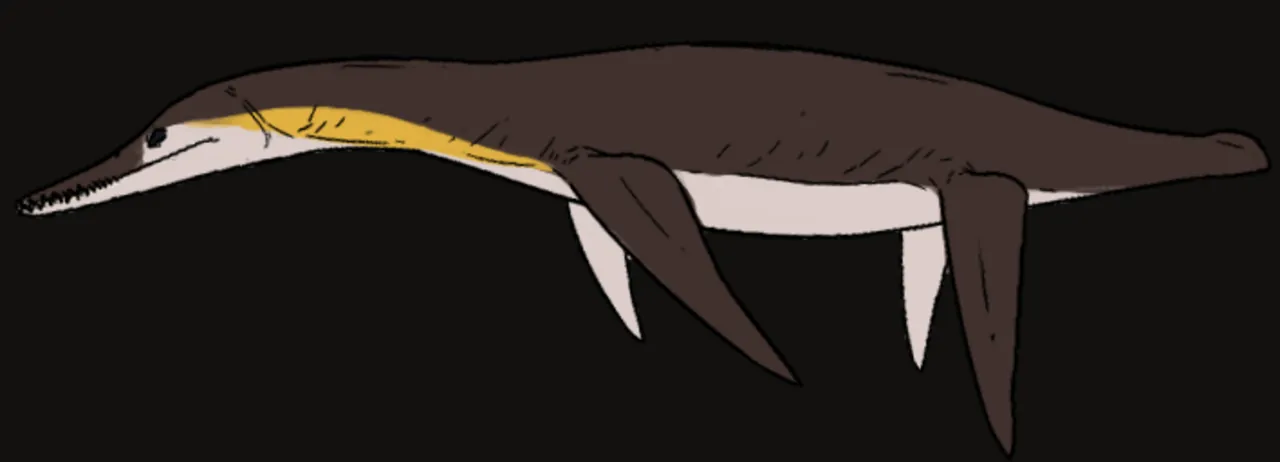 ซัลคูซูคัส (Sulcusuchus)