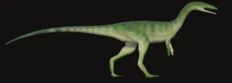 ซินทาร์ซัส (Syntarsus)