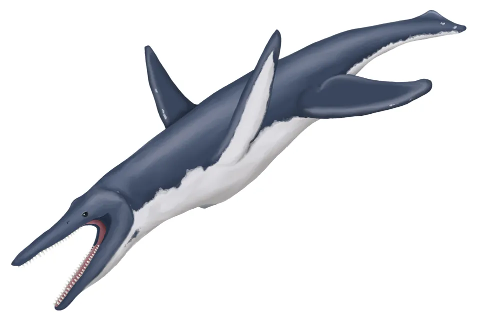 ทาโฟรโซซอรัส (Taphrosaurus)