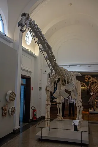 ทาปูยาซอรัส (Tapuiasaurus)