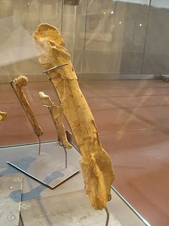ทาราสโคซอรัส (Tarascosaurus)