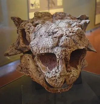 ทาร์เคีย (Tarchia)