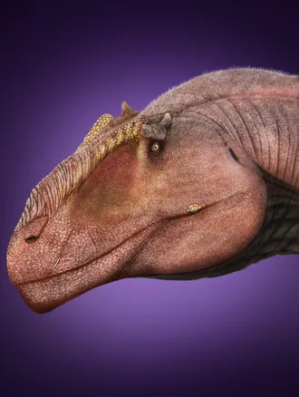 เทาโรเวเนเตอร์ (Taurovenator)