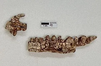 เทคโนซอรัส (Technosaurus)