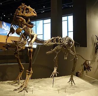 เทอราโทโฟเนียส (Teratophoneus)