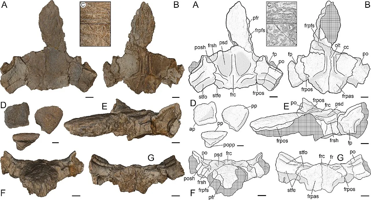 ทิวเคนซูคัส (Tewkensuchus)