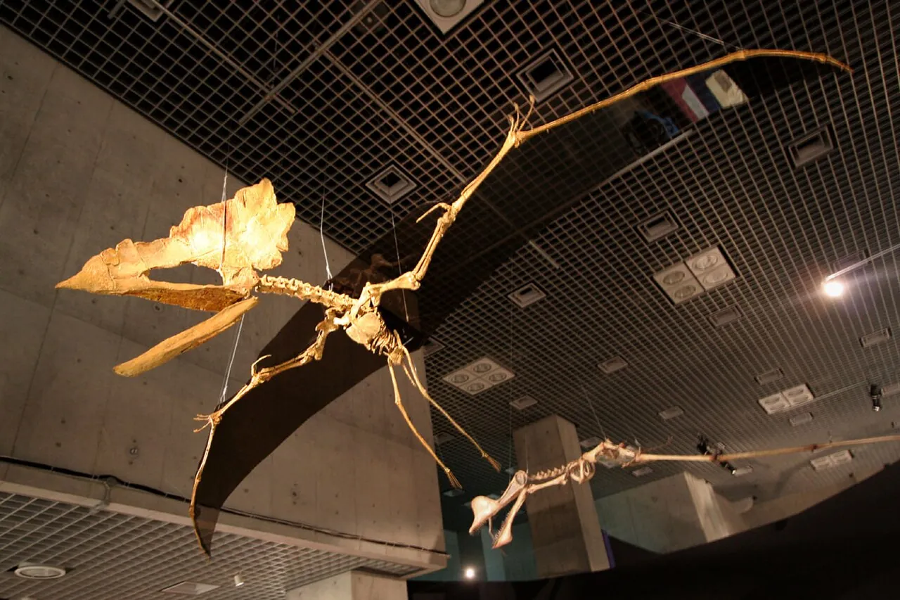 ทาลัสโซโดรเมอุส (Thalassodromeus)
