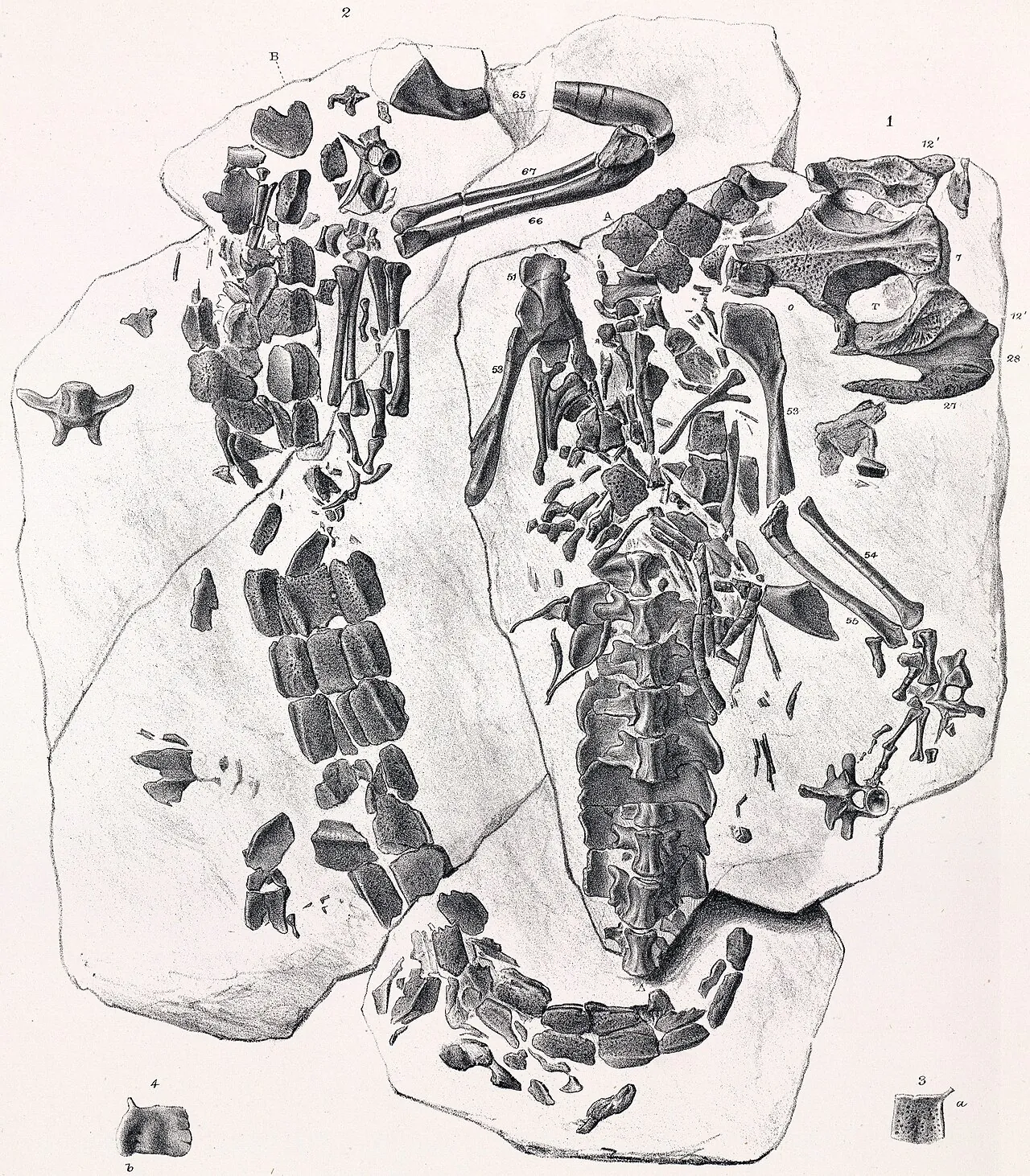 Theriosuchus (Theriosuchus)