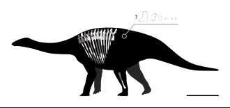 ไธรีโอซอรัส (Thyreosaurus)