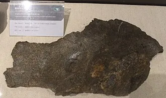 เทียนซานโนซอรัส (Tienshanosaurus)