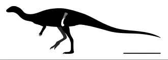 ทีเอตาซอรา (Tietasaura)