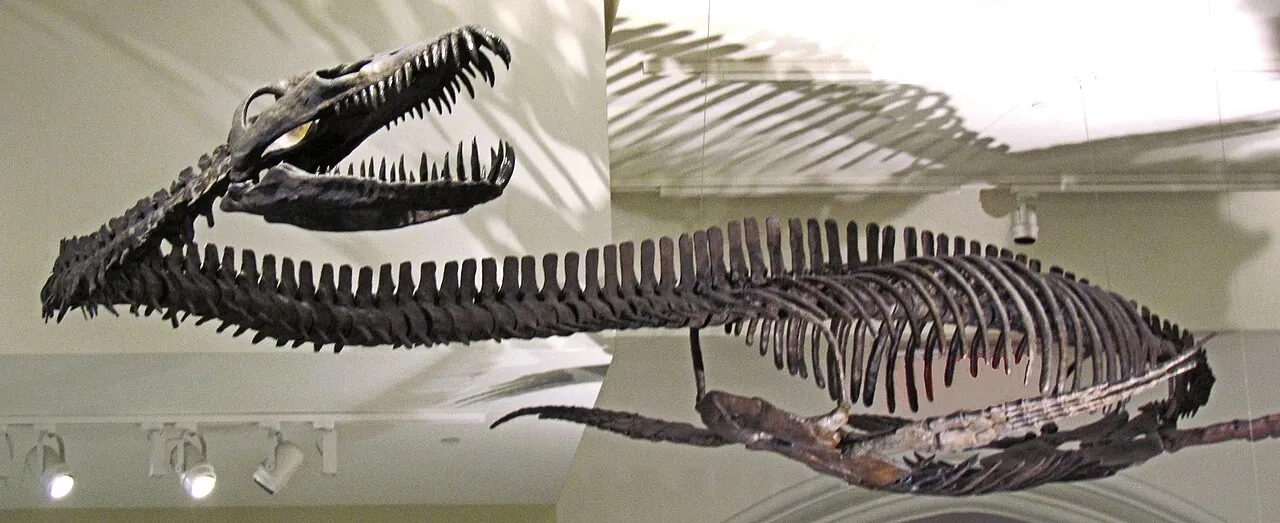 ทราสกาซอรา (Traskasaura)