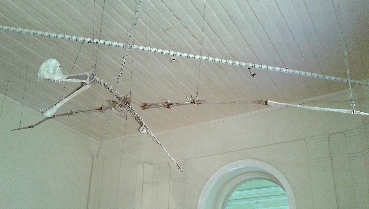 โทรเปโอกนาทัส (Tropeognathus)