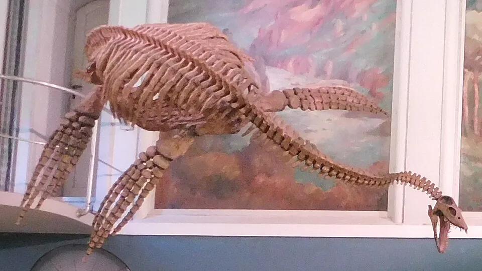 ทัวรังกิซอรัส (Tuarangisaurus)