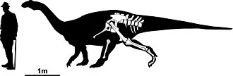 ทือบิงโกซอรัส (Tuebingosaurus)