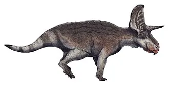 ทูราโนเซอราทอปส์ (Turanoceratops)