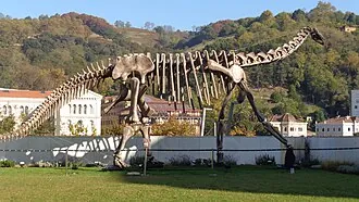 ทูเรียซอรัส (Turiasaurus)