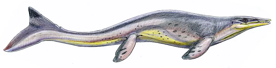 ไทโลซอรัส (Tylosaurus)