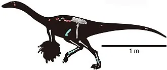 ไทแรนโนมิมัส (Tyrannomimus)