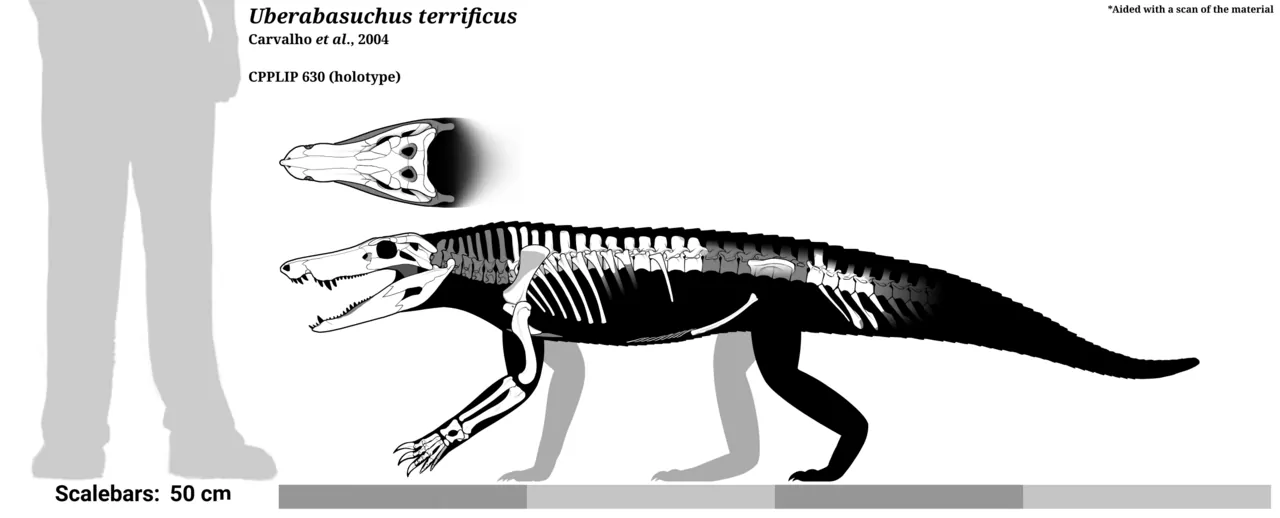 อูเบราบาซูคัส (Uberabasuchus)