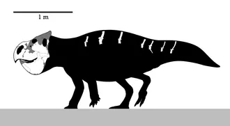อูดาโนเซอราทอปส์ (Udanoceratops)