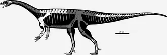 อูไนซอรัส (Unaysaurus)