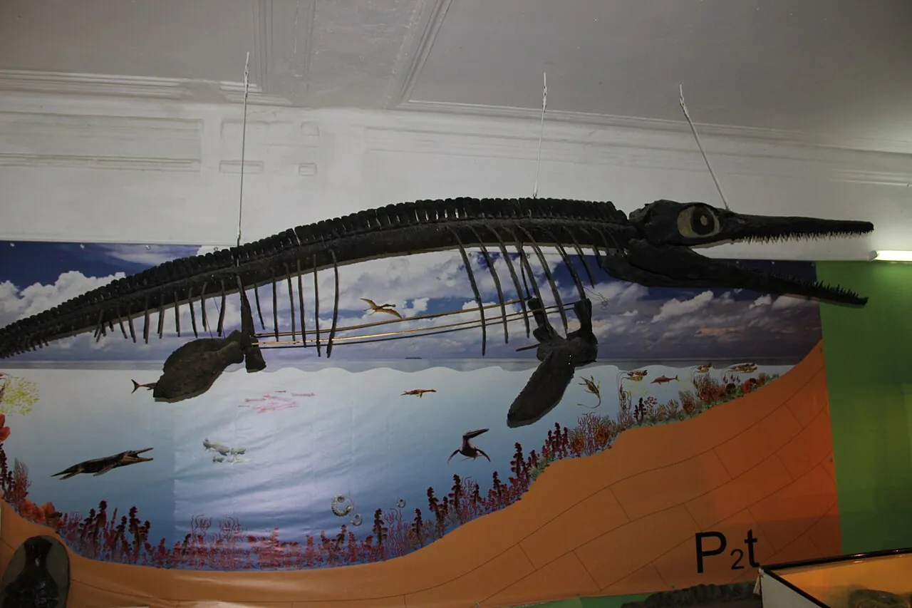 อุนโดโรซอรัส (Undorosaurus)