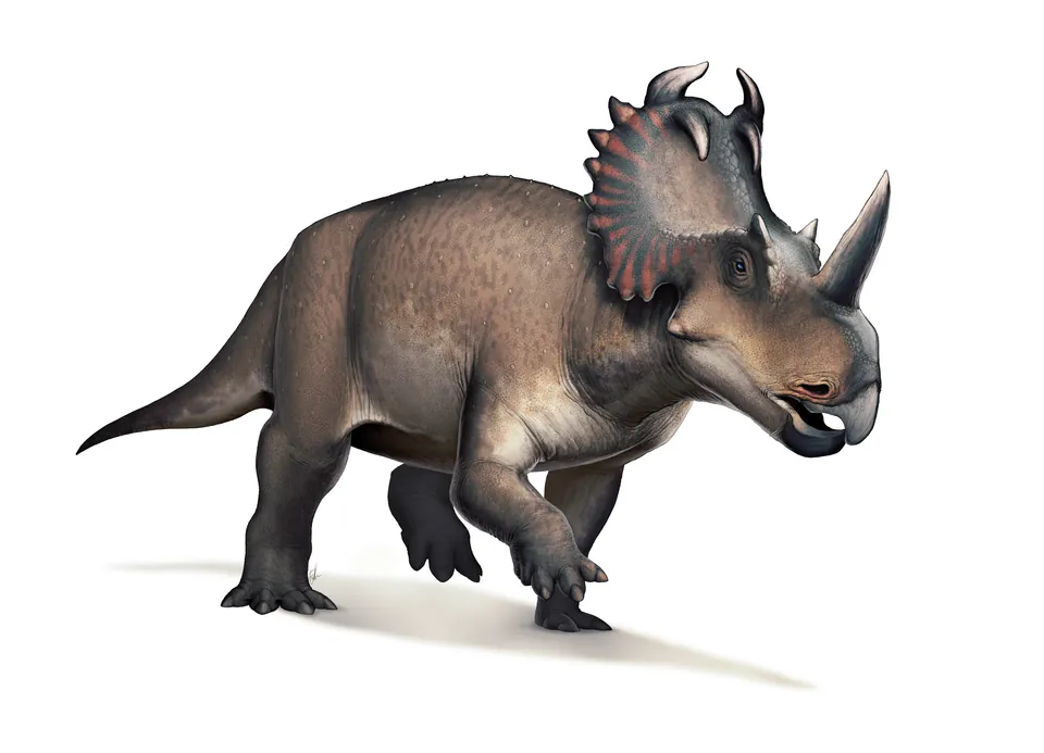 ยูเนสโคเซราทอปส์ (Unescoceratops)