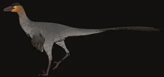 เออร์บาโคดอน (Urbacodon)