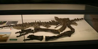 วัลโดซอรัส (Valdosaurus)