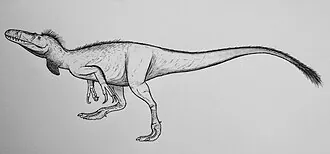 เวกแทแอโรเวเนเตอร์ (Vectaerovenator)