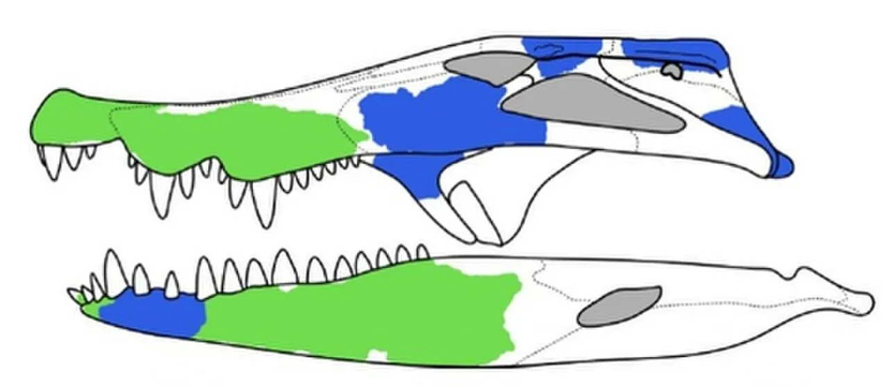 วาฮาซูคัส (Wahasuchus)