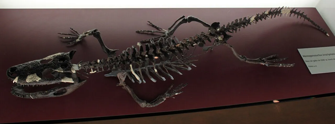วันนากาโนซูคัส (Wannaganosuchus)