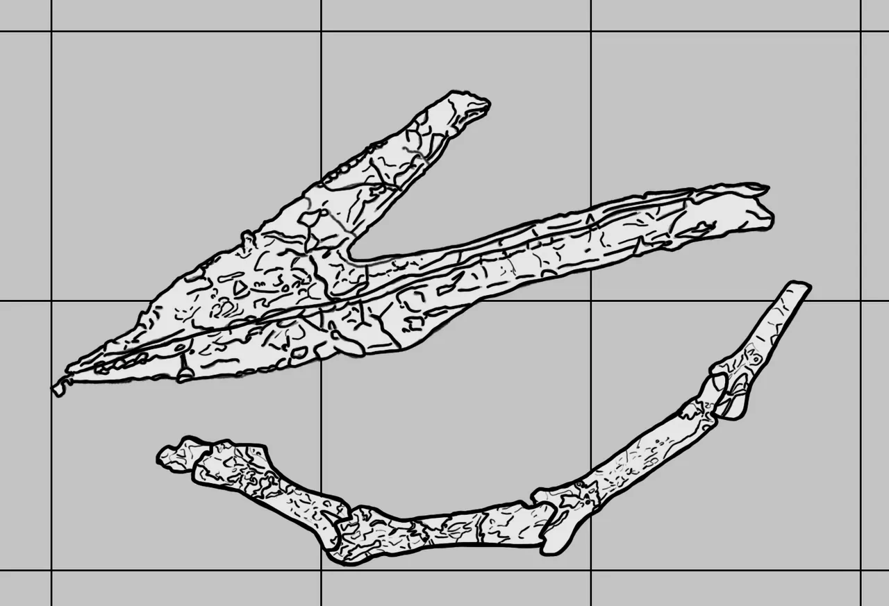 เวลน์ฮอปเทอรัส (Wellnhopterus)