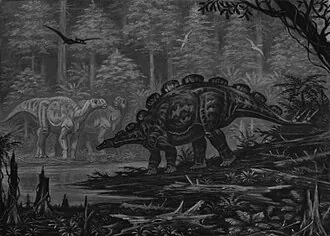 เวอร์โฮซอรัส (Wuerhosaurus)