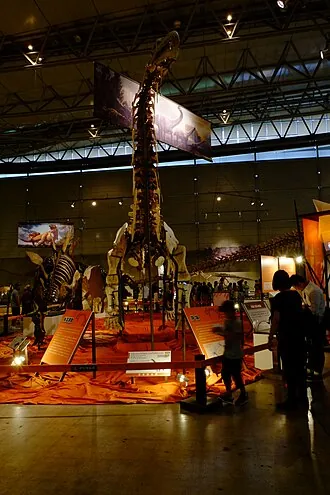 เซียนซานโนซอรัส (Xianshanosaurus)