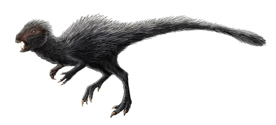 เซียวซอรัส (Xiaosaurus)