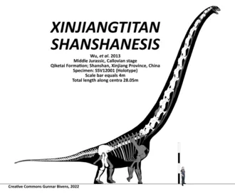 ซินเจียงไททัน (Xinjiangtitan)