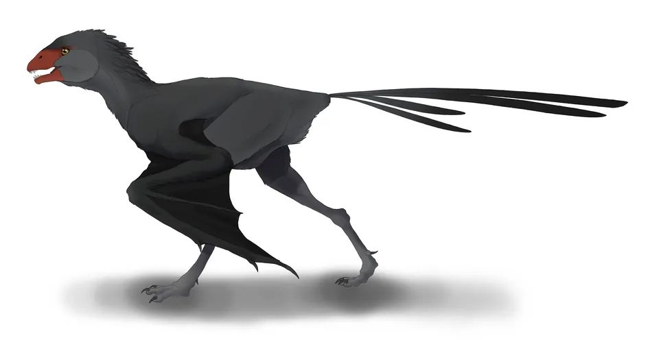 ซีเซียนีคัส (Xixianykus)