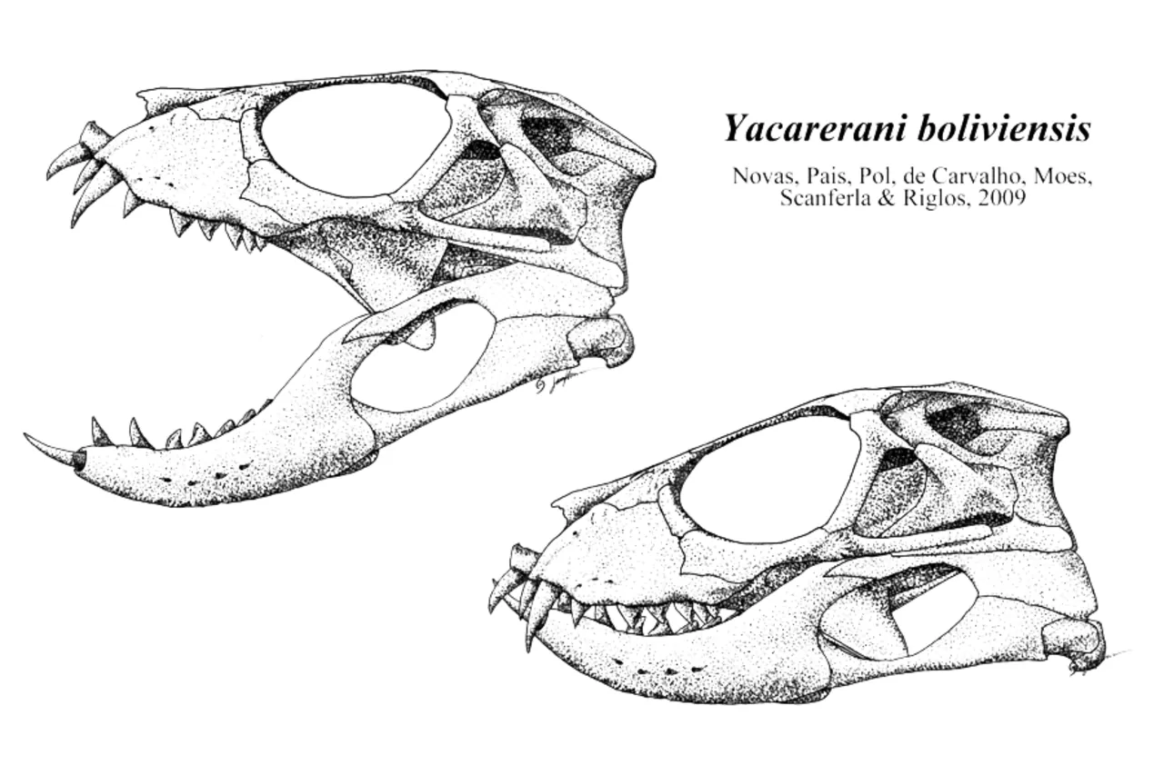 ยาคาเรรานี (Yacarerani)